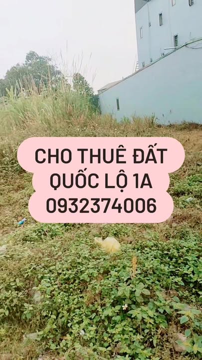 Đất cho thuê lâu dài Quốc lộ 1A, Hậu Lộc - Giá thỏa thuận hấp dẫn!