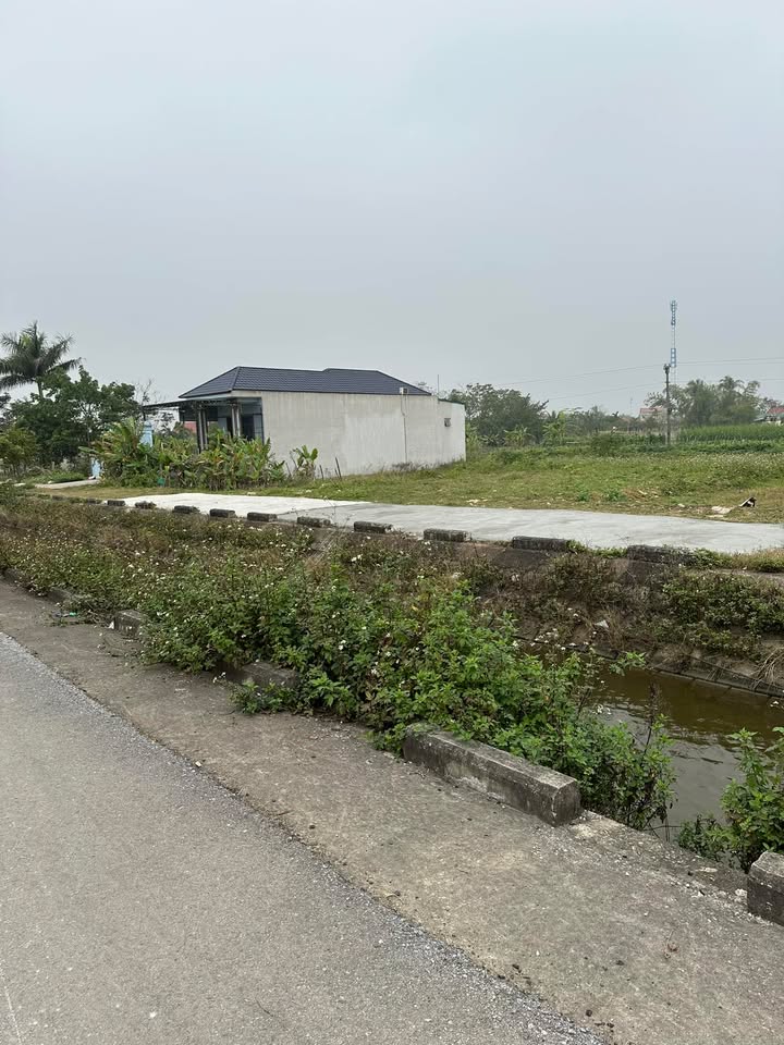 Đất nền Liên Lộc, Hậu Lộc, 180m² giá thỏa thuận - Vị trí đắc địa gần trường học