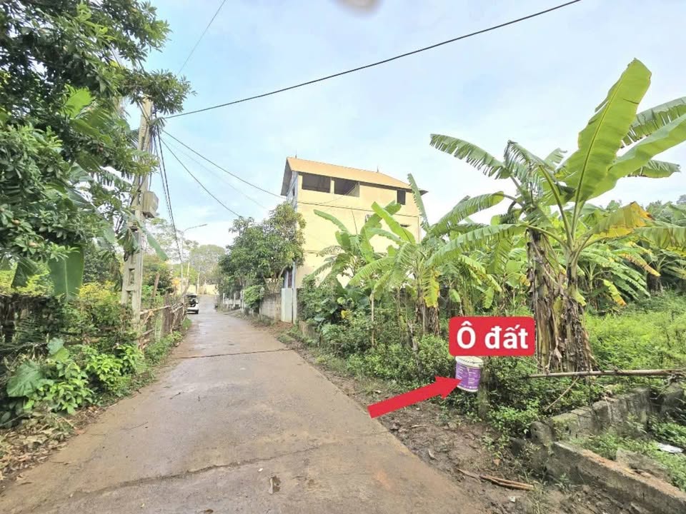 Đất xây phòng trọ Tam Lộng, Bình Xuyên 125m² chỉ 1.6 tỷ - Đầu tư sinh lời ổn định!