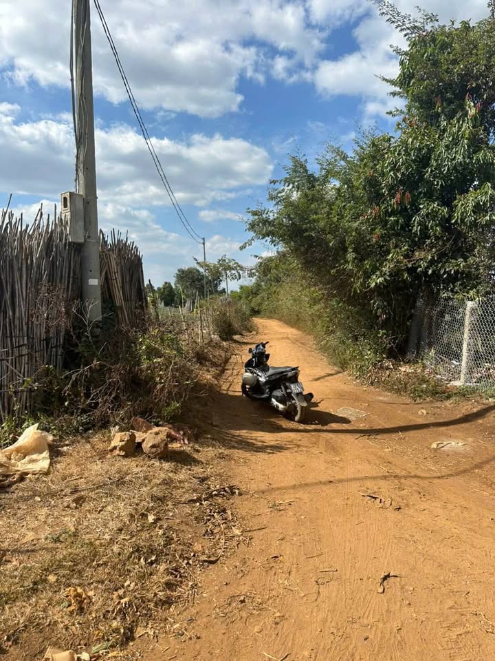 Lô đất Farm Phú Hội, Đức Trọng 18.000m² giá chỉ 1 tỷ - Đầu tư sinh lời ngay!