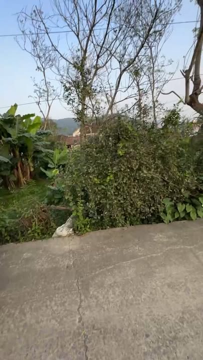 Đất nền X5 Nam Giang, Nghệ An 100m² giá 1.x tỷ - Cơ hội đầu tư tuyệt vời!