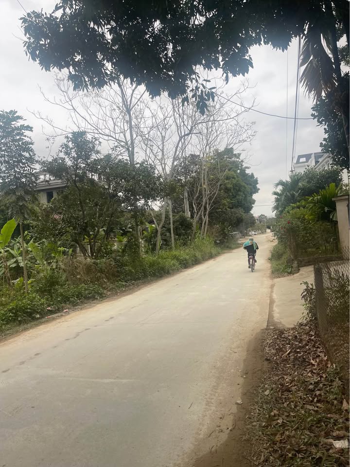 Đất nền Bách Thảo Ngân, Tân Hà 150m² chỉ 2 tỷ - Cơ hội đầu tư hiếm có!