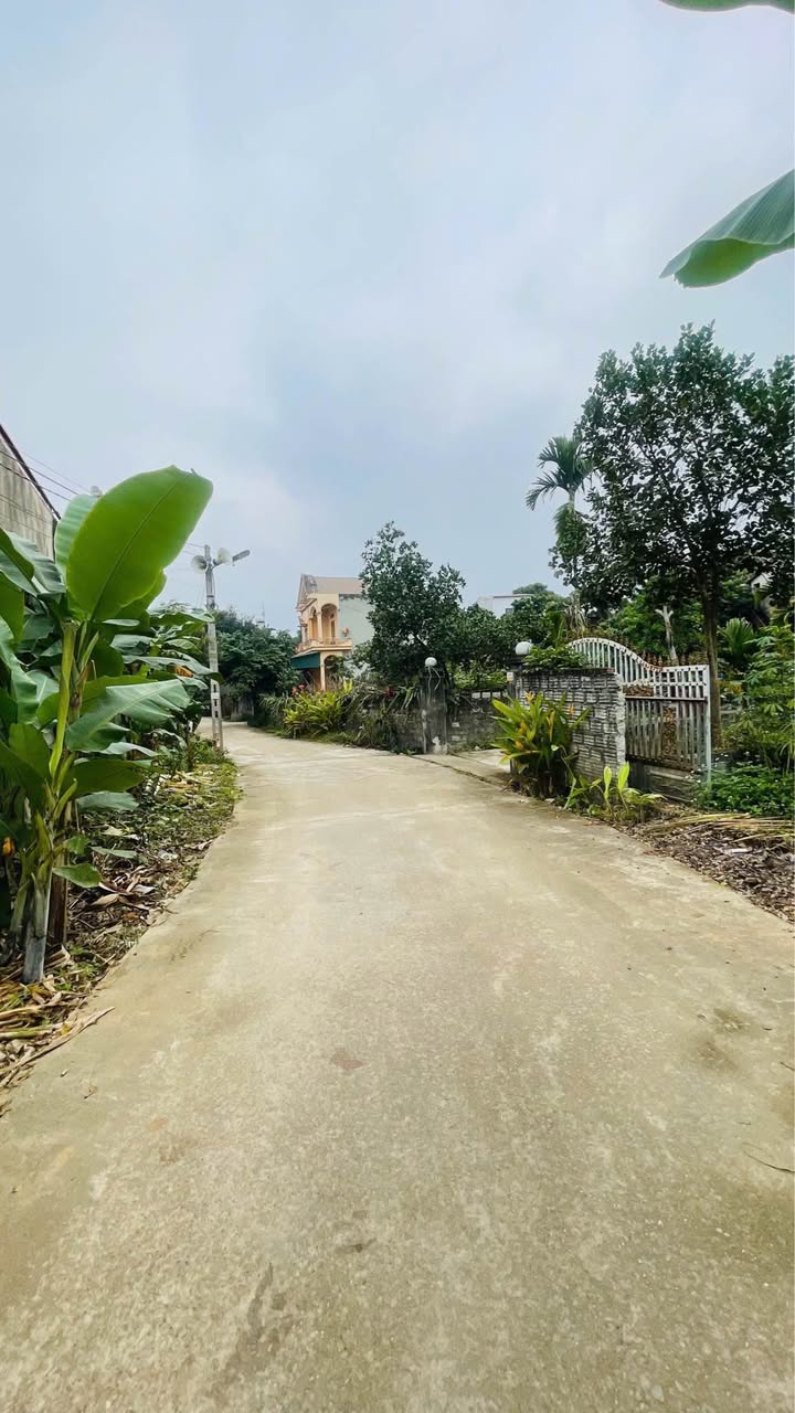 Đất nền Tân Hà, TP Tuyên Quang 160m² giá 2 tỷ - Hướng Nam, ô tô đỗ cửa!