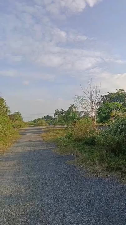 Đất nền đường số 5, xã Đông Bình, huyện Thới Lai, 200m² giá 3 tỷ - Cơ hội đầu tư hấp dẫn!