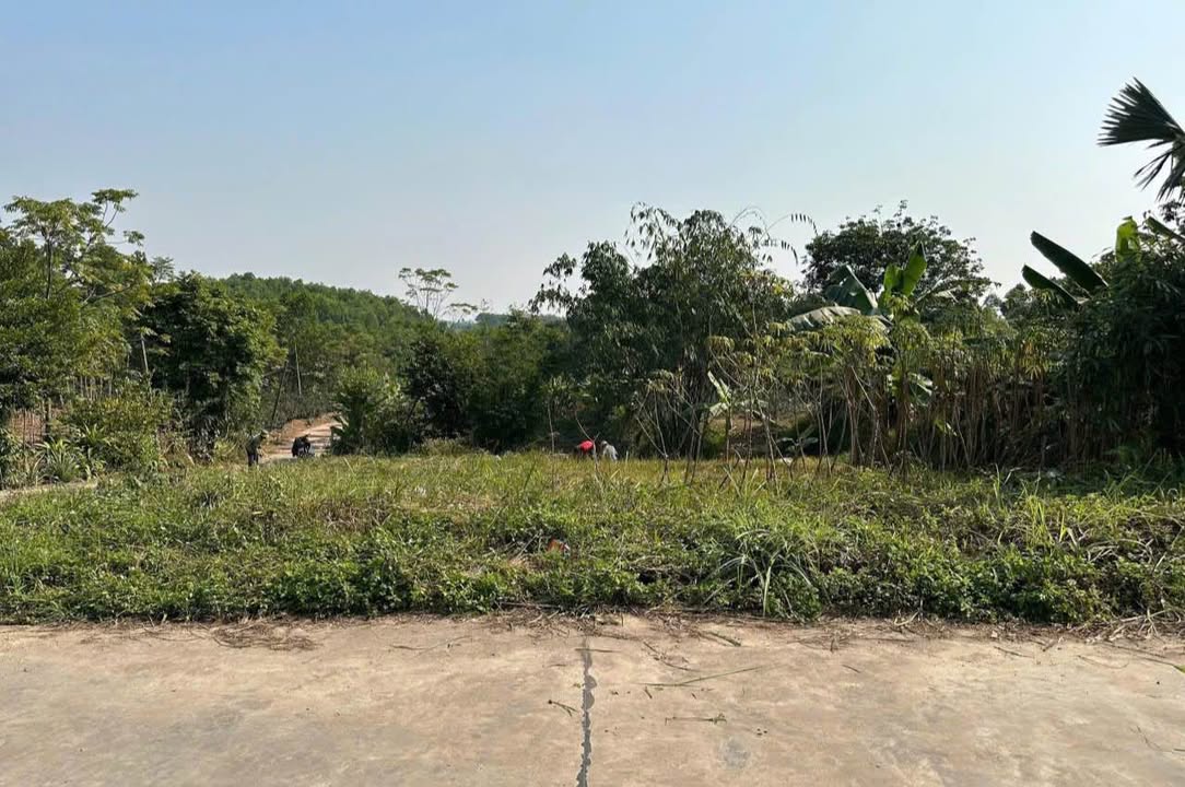 Đất nền Tân Cương, 300m² giá chỉ 1.7 tỷ - Đầu tư sinh lời ngay!