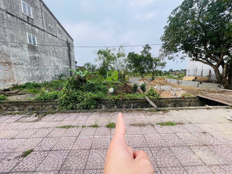 Đất nền đường Quang Trung, xã Thạch Văn, 100m² giá 4.8 tỷ - Cơ hội đầu tư tốt!