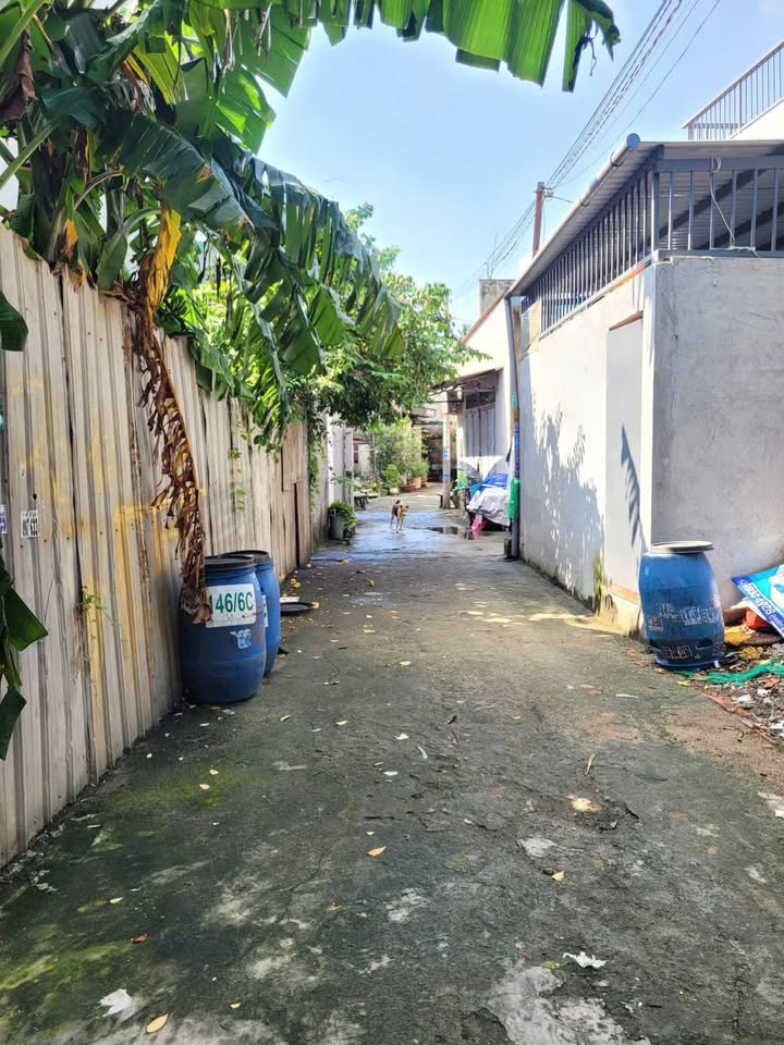 Đất thổ cư 116,5m² đường Nguyễn Thái Học, Dĩ An chỉ 4,15 tỷ - Mặt tiền thoáng