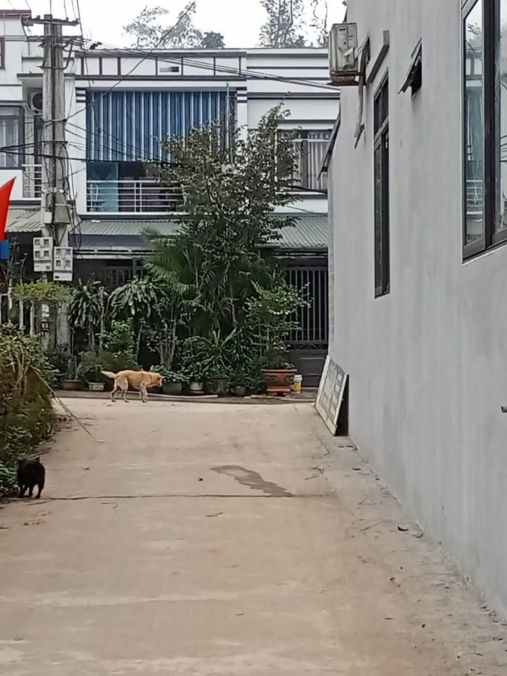 Đất thổ cư đường Yên Thế, TP Yên Bái 140m² giá 1.1 tỷ - Đầu tư sinh lời ngay!