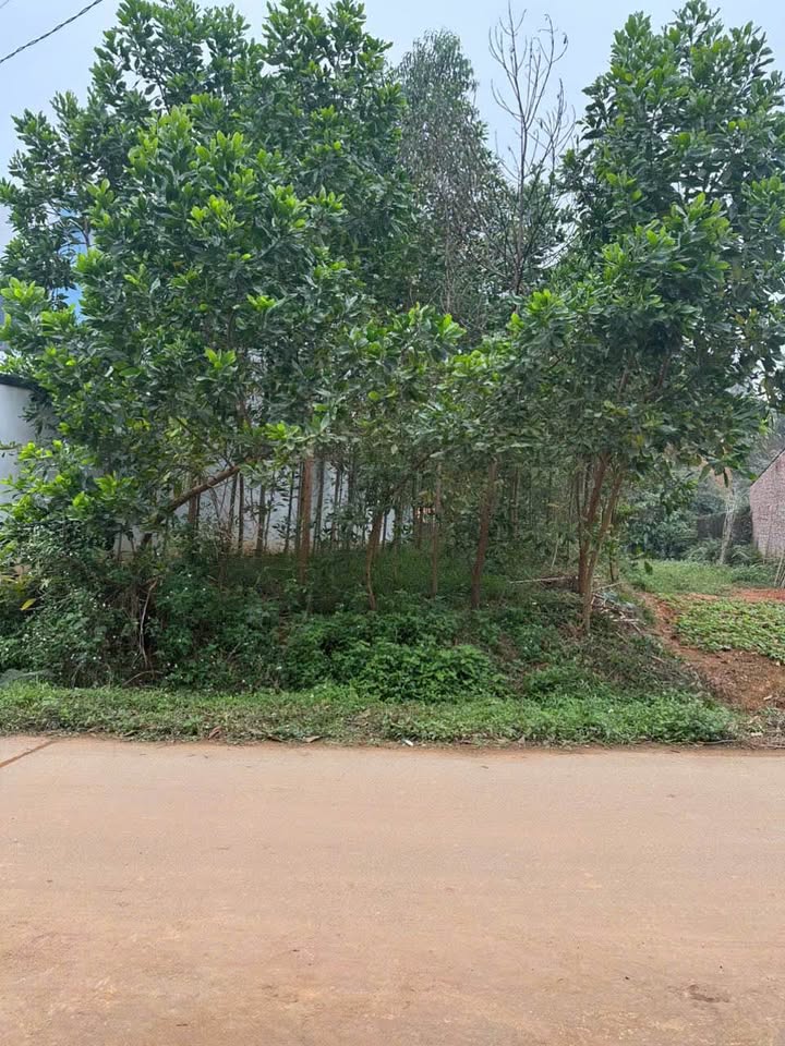 Đất thổ cư Khu 3 Phú Thọ 415m² giá 1 tỷ - Đầu tư sinh lời tốt!