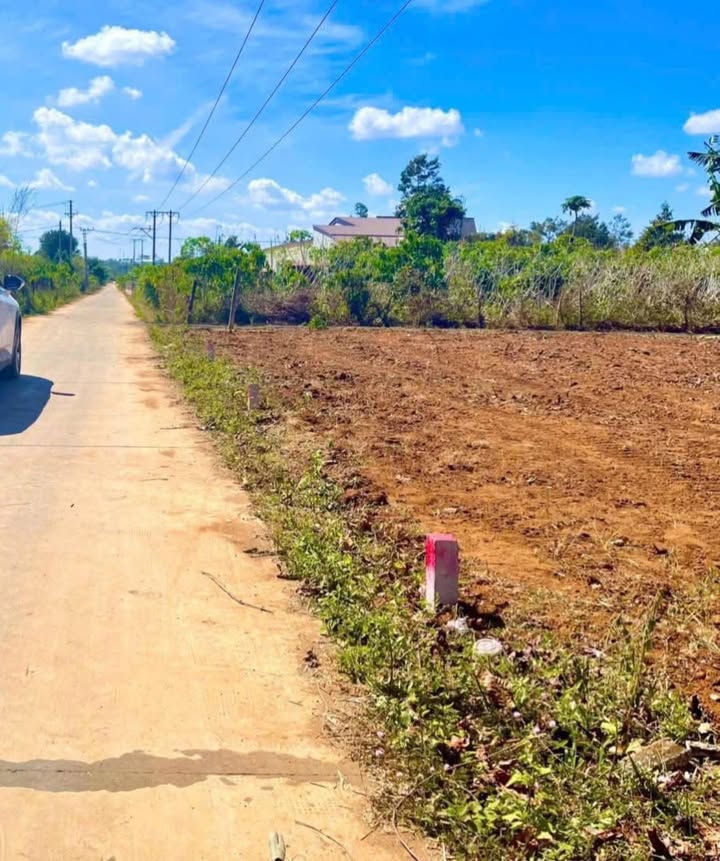 Đất thổ cư Làng Brong, Biển Hồ, 125m² giá chỉ 200 triệu - Cơ hội đầu tư tuyệt vời!