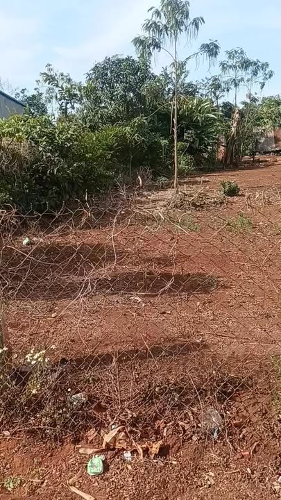 Đất nền 380m² tại làng Al Phún, Gia Lai - Cơ hội đầu tư hấp dẫn!