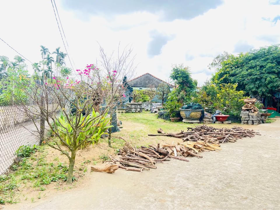 Đất nền Tịnh An, TP. Quảng Ngãi 268m² giá 1.05 tỷ - Cơ hội đầu tư lý tưởng!