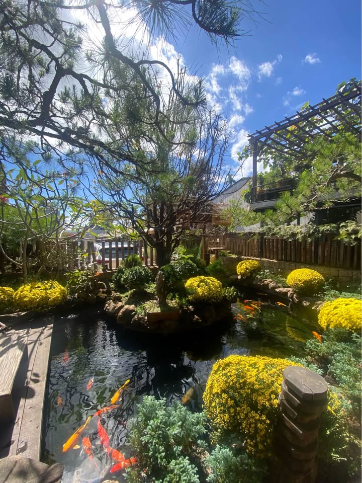 Lô đất 2 mặt tiền Hội Phú 250m² giá 1 tỷ - Cơ hội kinh doanh tuyệt vời!