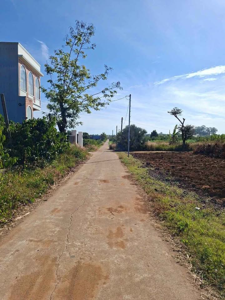 Đất nền 123 Hàn Thuyên, Biển Hồ 175m² giá 600 triệu - Sổ hồng chính chủ!