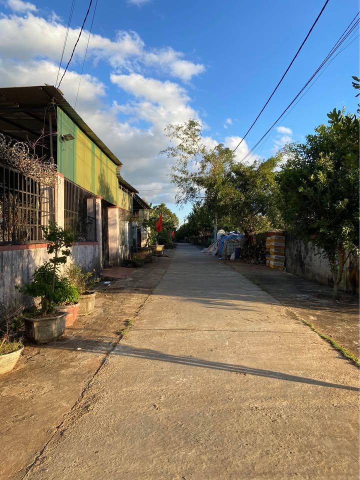 Đất nền 196 Hẻm Trường Sơn 155m² giá 8xx triệu - Cần bán gấp trước Tết!