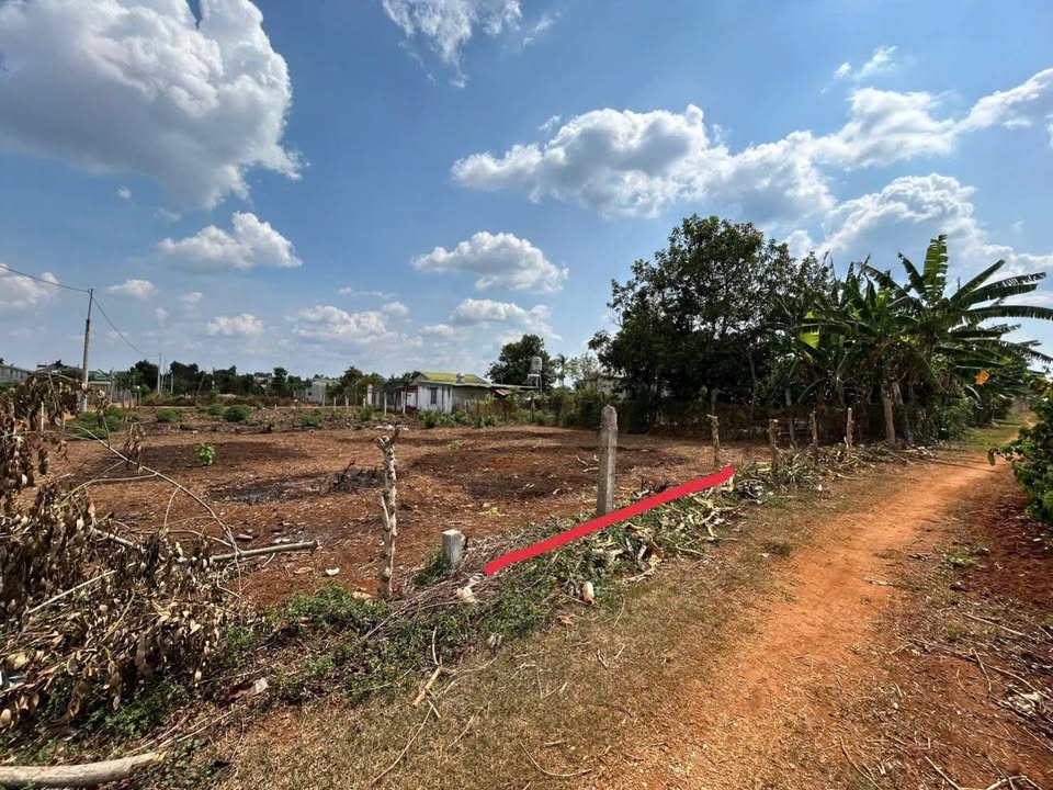 Đất thổ cư Thôn Tân An, Ia Sao, 125m² giá 300 triệu - Cơ hội đầu tư tuyệt vời!