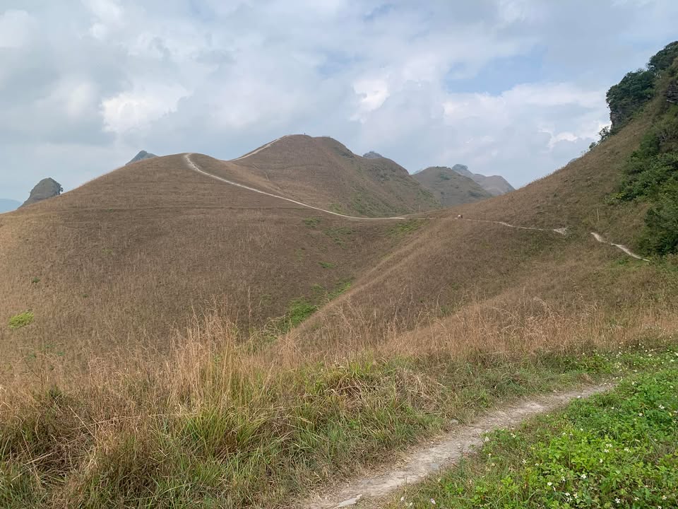 Lô nhà vườn Ngân Hà, Điện Ngọc 320m² giá 2 tỷ - Đất sạch view thoáng mát!