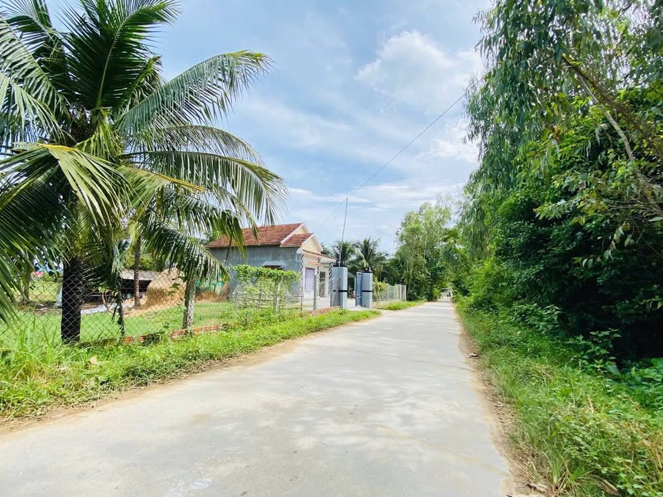 Đất thổ cư Cát Sơn, Phù Cát 288m² giá 500 triệu - Đầu tư lý tưởng!