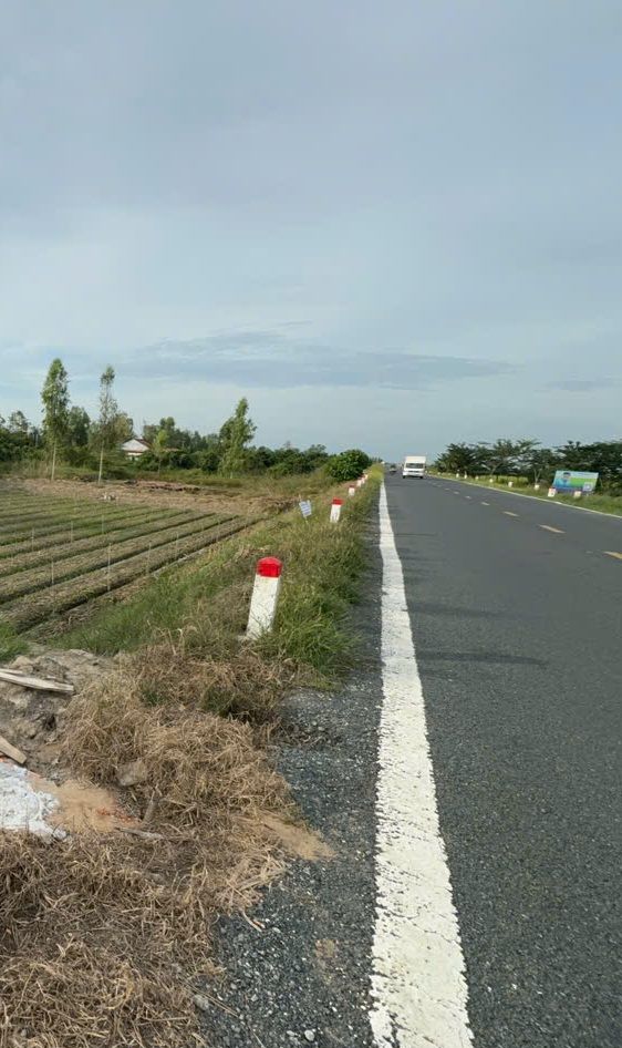 Đất Farm 3000m² Huyện Cao Lãnh 1.2 tỷ - Gần đường DT 856, Thương lượng tốt!