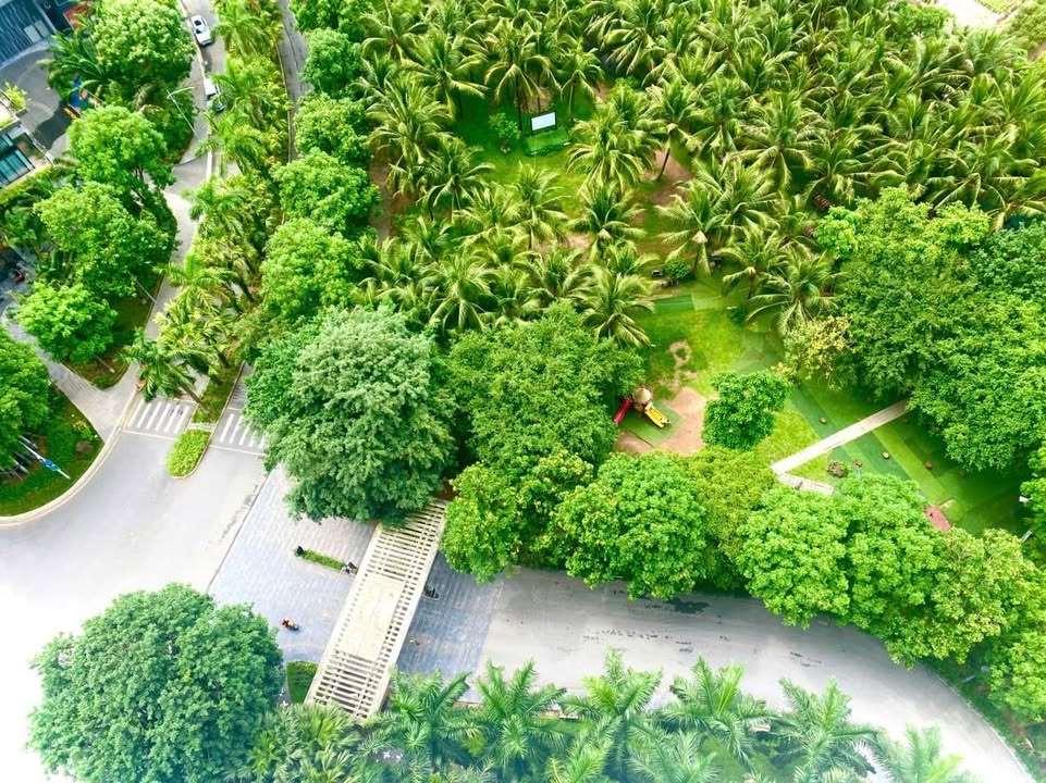 Căn hộ Ecopark Xuân Quan 55m² giá 3.3 tỷ - Đầu tư sinh lời cao!