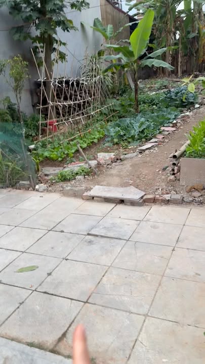 Đất nền 164m² tại Vĩnh Thịnh, Vĩnh Yên - Đầu tư sinh lời ngay!