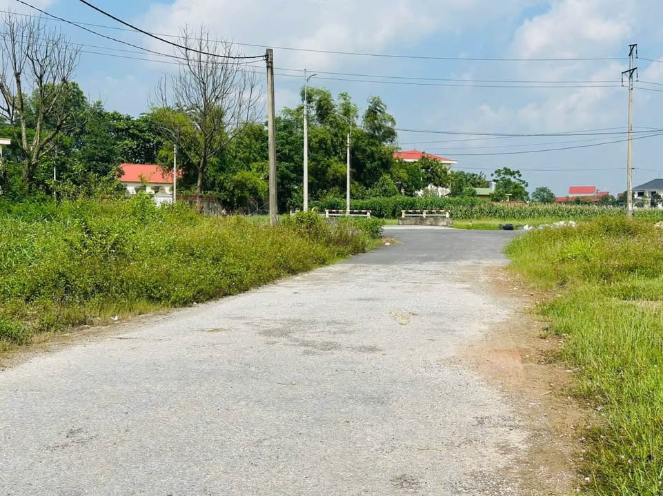 Đất nền TDC Tân Long, Phường Tân Hương, 150m² - Kinh doanh thuận lợi!