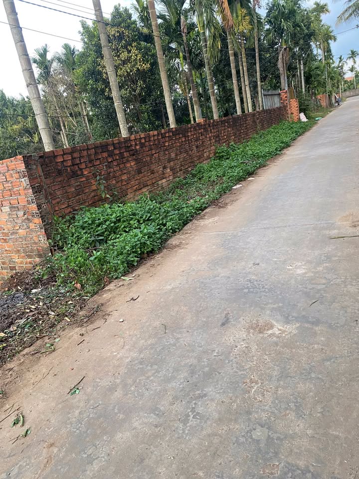 Đất thổ cư Ea Ktur 340m² giá 2.958 tỷ - Cơ hội đầu tư hấp dẫn!