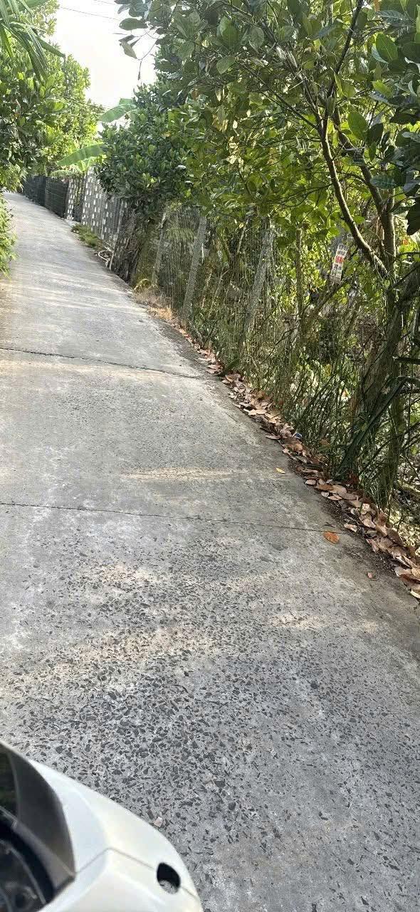 Đất vườn 2000m² Xã An Hữu, Huyện Cái Bè giá 740 triệu - Cơ hội đầu tư tuyệt vời!