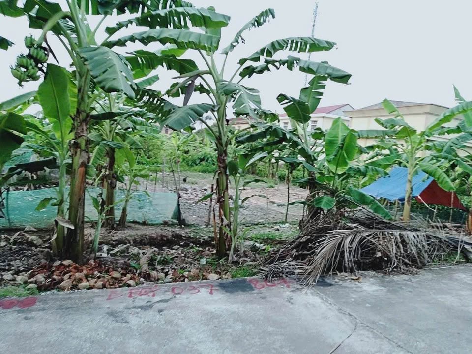 Nhà phố Đông Trà Tiền Hải 150m² giá thỏa thuận - Thiết kế đẹp, không lỗi phong thủy!