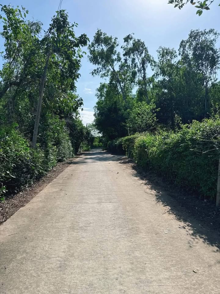 Đất nền Phổ An 364m² giá thỏa thuận - Gần biển, vị trí đắc địa!