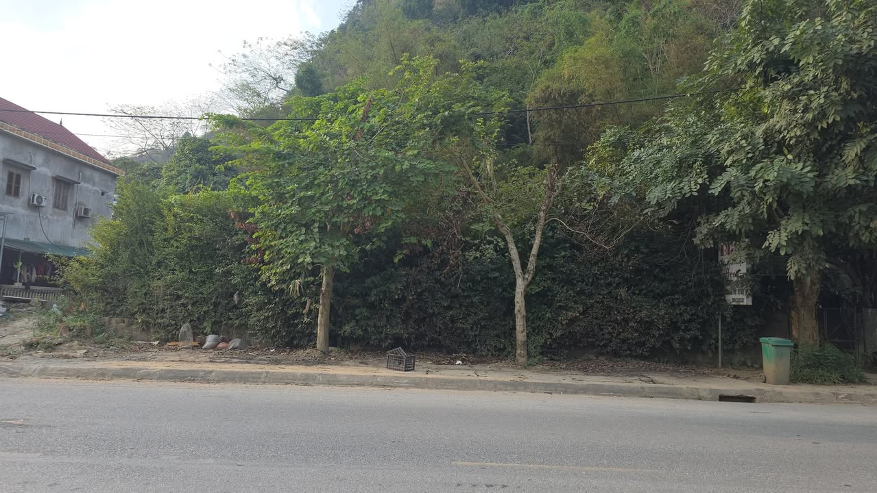 Đất nền đẹp Huyện Bắc Quang 312m² giá thỏa thuận - Tiềm năng kinh doanh lớn!