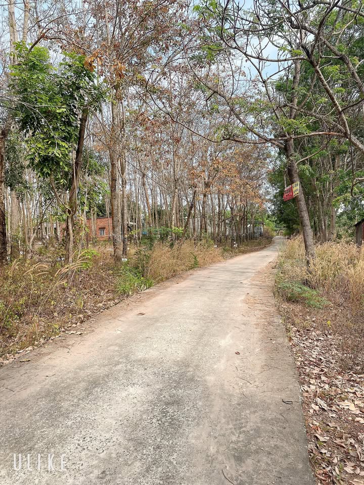 Đất nền Ấp 1, Xã Lộc Hưng, 500m² giá chỉ 300 triệu - Sổ đỏ chính chủ!