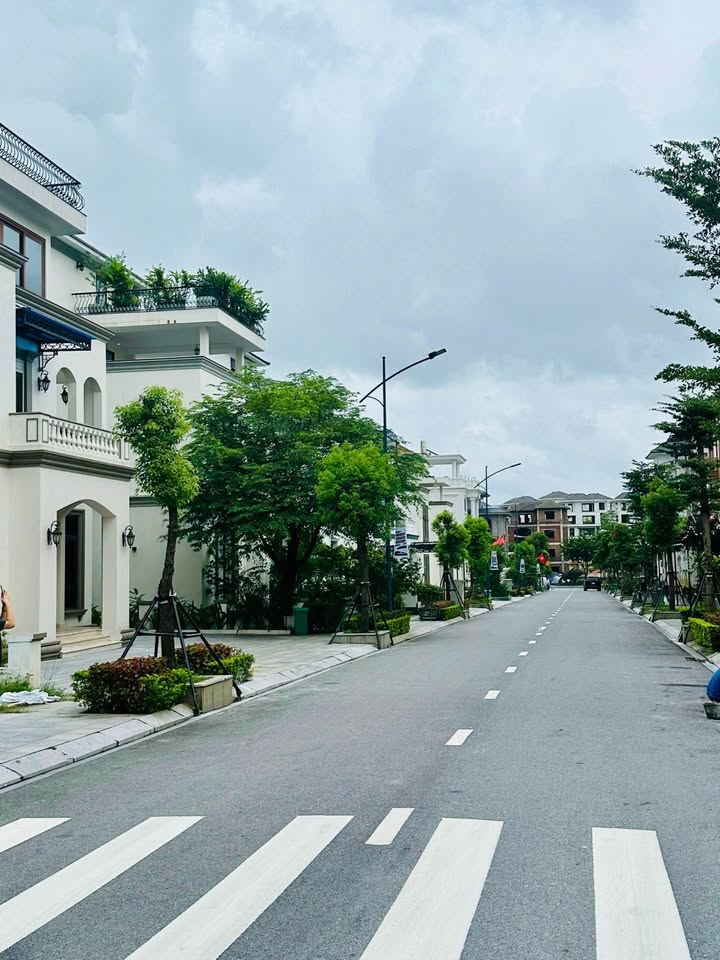 Biệt thự Beverly Hill Bãi Cháy 320m² giá chỉ 2x tỷ - Sẵn sàng ở hoặc kinh doanh!