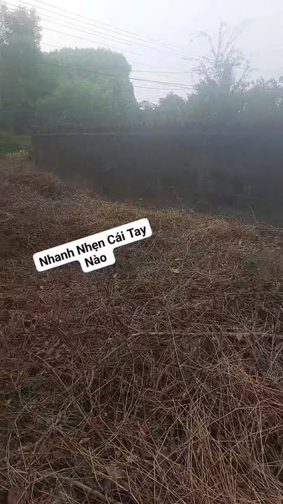 Đất nền Hóa Thượng, Đồng Hỷ 100m² - Đầu tư sinh lời tốt!