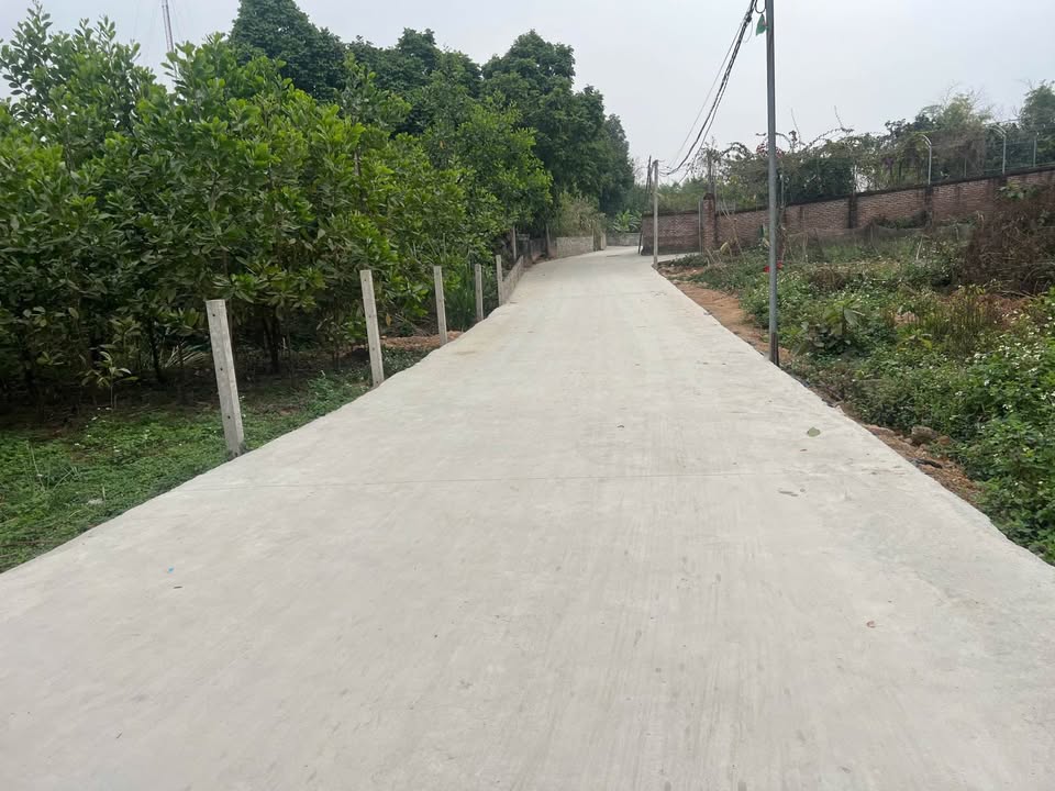 Đất nền Phường Tân Lập 137m² giá 1.6 tỷ - Đường xe tải vào tận nơi!