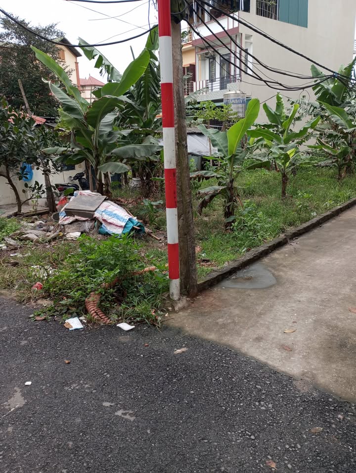 Bán đất 53m² Phường Thạch Bàn, Quận Long Biên - Ô tô đỗ cửa chỉ 4 tỷ!