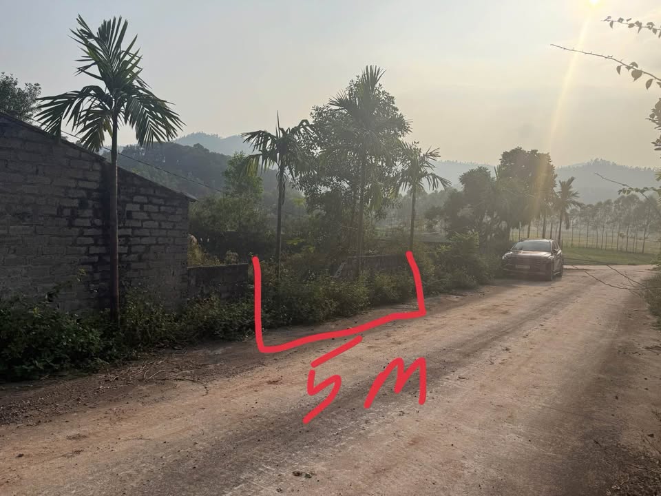 Đất nền Phường Trần Phú, Bắc Giang 78.3m² chỉ 2x triệu - Cơ hội đầu tư tuyệt vời!