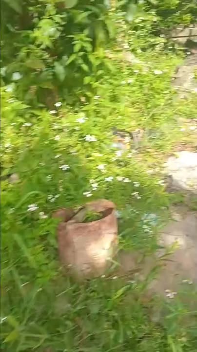 Đất nền Thị trấn Cái Bè, 180m² giá 850 triệu - Cơ hội đầu tư hấp dẫn!