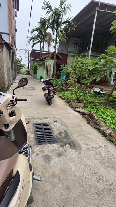 Đất nền Yên Phong 70m² giá 1.55 tỷ - Đầu tư sinh lời ngay!