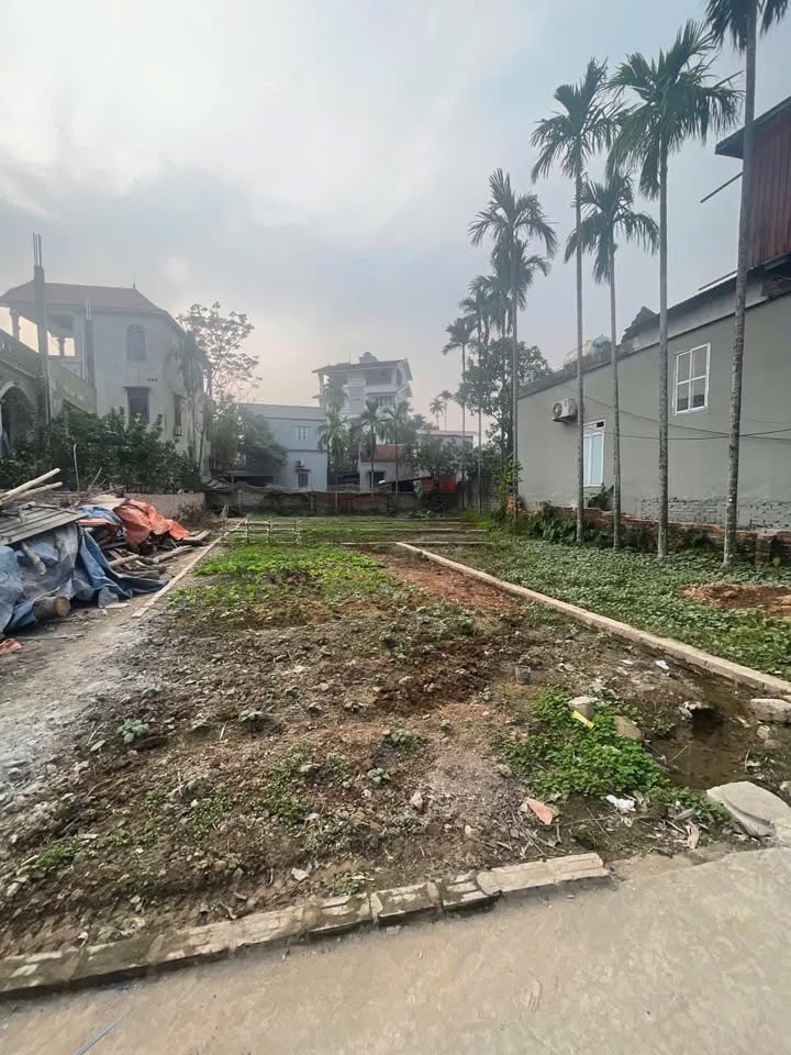 Đất thổ cư Kim Châu Thanh Oai 52m² giá 2 tỷ - Ô tô vào tận đất!