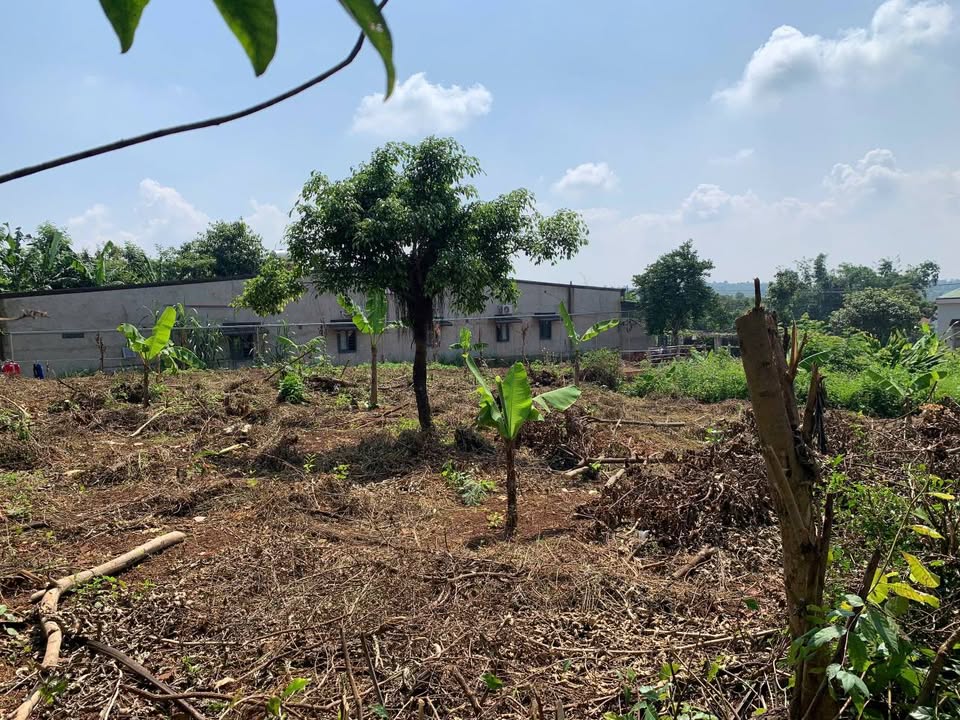 Đất sổ hồng riêng 356m² xã Ea Bar, Buôn Đôn - Giá chỉ 1.4 tỷ thương lượng!