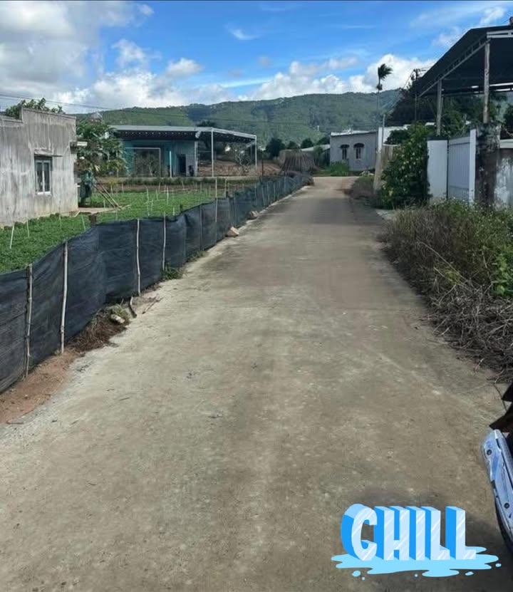 Đất nền xã Đạ Ròn, huyện Đơn Dương 260m² giá 1.1 tỷ - Sổ hồng chính chủ!