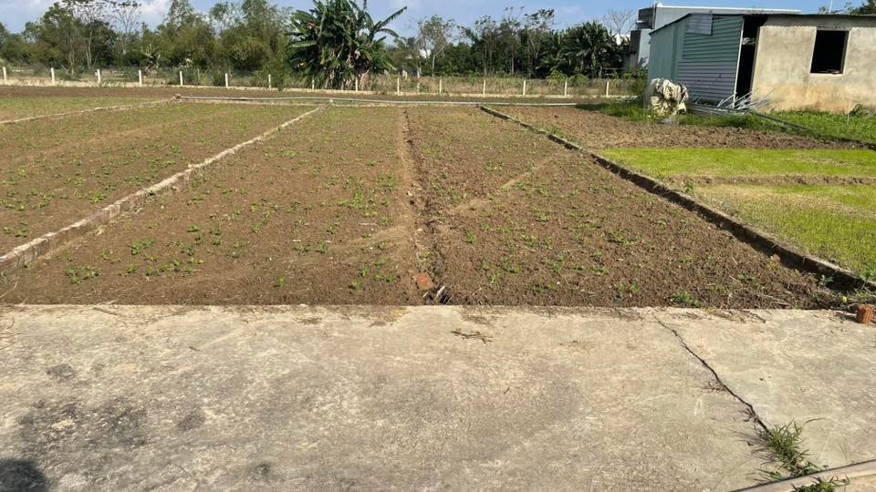 Đất nền Bê tông 3m Điện Nam Trung 100m² giá 1.2 tỷ - Cơ hội đầu tư hấp dẫn!