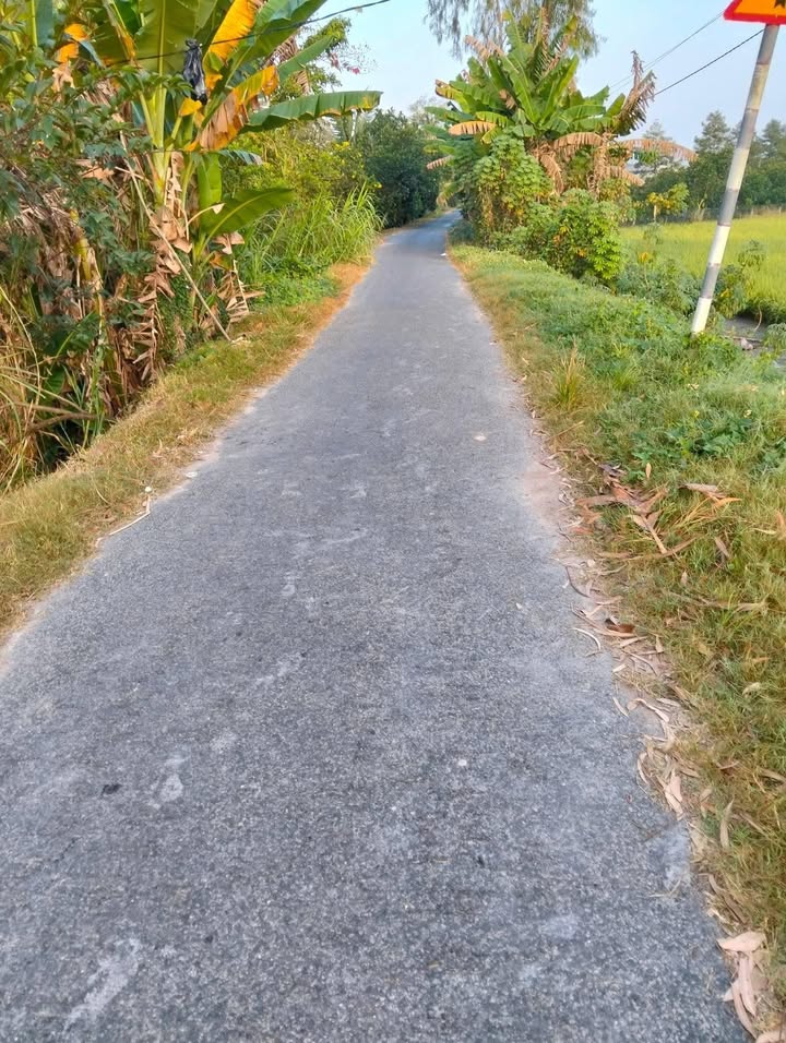 Đất nông nghiệp cho thuê tại Đốc Binh Kiều, Tháp Mười - Giá chỉ 5.5 triệu/công/năm!