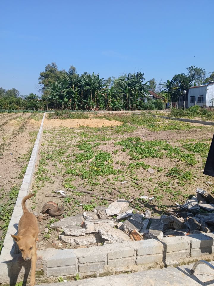 Đất nền Xã Điện Tiến 297m² giá thỏa thuận - Mặt tiền đường rộng, dân cư đông đúc