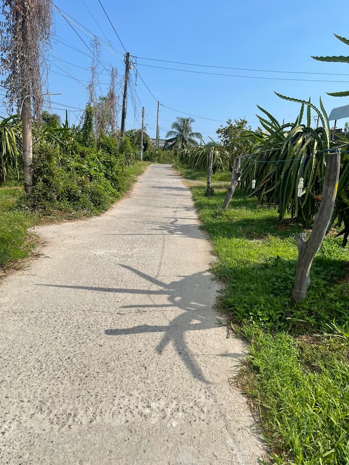 Đất đẹp Phú Tài - Thành phố Phan Thiết 6120m² giá 661 triệu - Cơ hội đầu tư hấp dẫn!