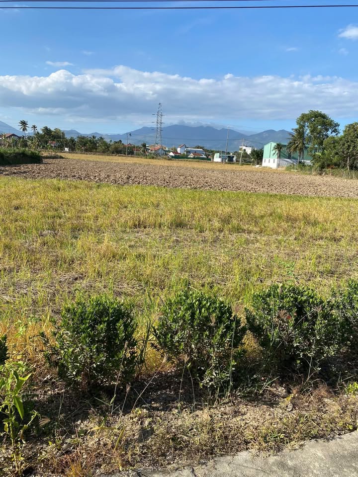 Đất thổ cư Diên An 148m² giá 1.776 tỷ - Mặt tiền 10m, ô tô vào tận nơi!