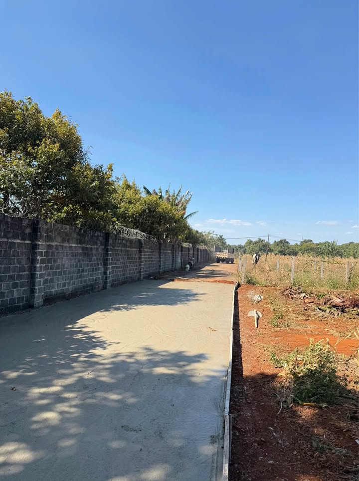 Đất nền thổ cư Cư Suê 200m² giá 455 triệu - Chỉ cần bớt lộc cho khách thiện chí!