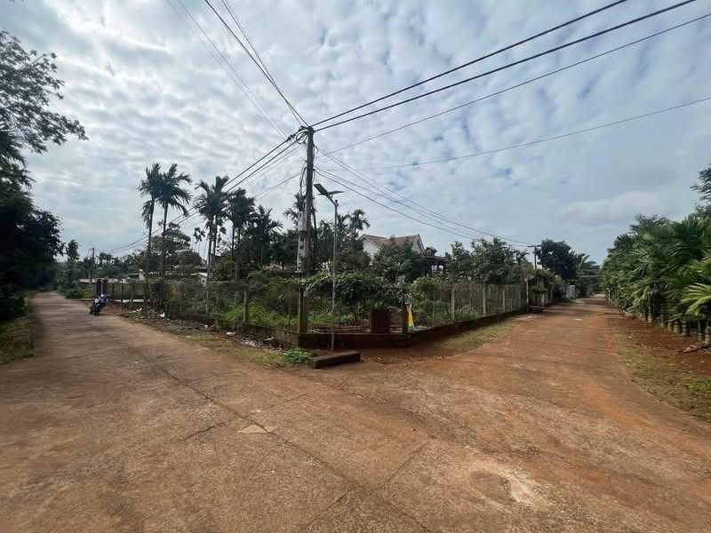 Đất nền hẻm 205 Nguyễn Thái Bình, 95m² giá 950 triệu - Vị trí đẹp, dễ đầu tư!