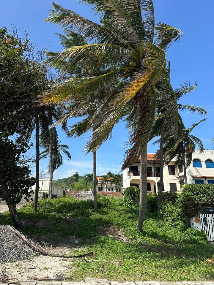 Đất biển Ninh Hải 363m² giá thỏa thuận - Đầu tư sinh lời hấp dẫn!